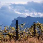 047 Marino Gasperoni - Il monte Titano _r