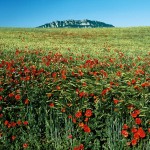 050 Gabriele Granaroli - Il monte Titano _r