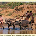 Sgarbi Albano -Vita rurale- Orissa, India 1997-  copia