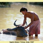 c_07 Sgarbi INDIA